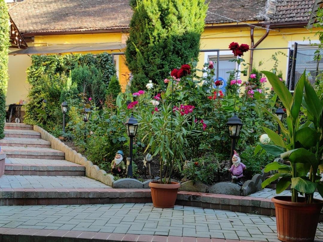 Color