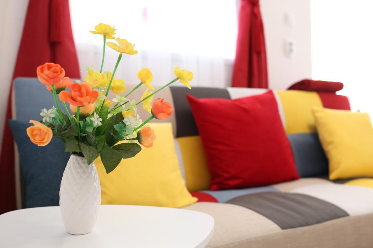 Apartament Color *